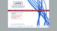 Desktop Screenshot of leydig.com